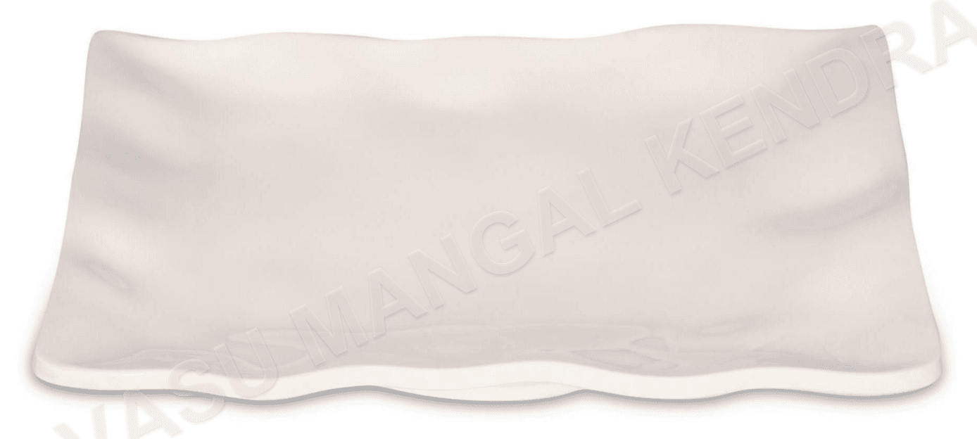 Rectangular Platter (RP120) — Vasu Mangal Kendra
